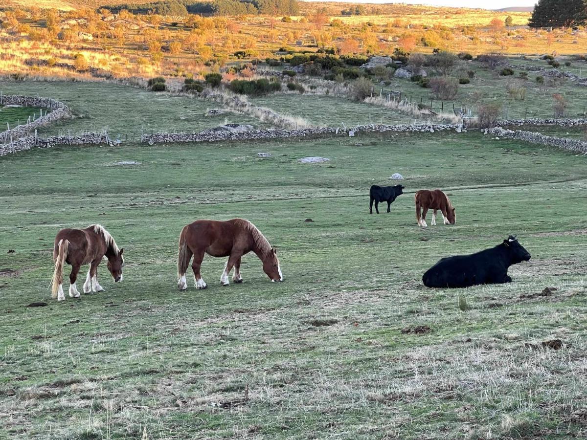 Appartamento La Nava De Gredos Acogedor Piso Con Vistas Navarredonda Esterno foto
